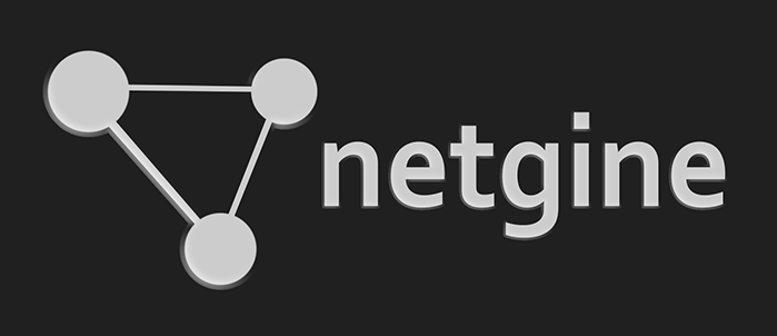 Netgine - Open-Source Simulation Platform for CWNs
